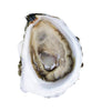 100-Count Bag - Island Creek Oysters