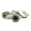 Oysters & Caviar