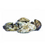 100-Count Bag - Island Creek Oysters