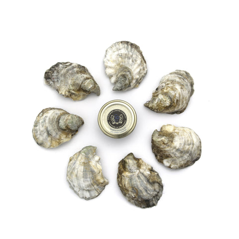 Oysters & Caviar