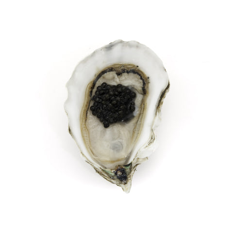 Oysters & Caviar