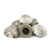 Oysters & Caviar