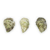 Ichabod Flat Oysters - 50 Count Box