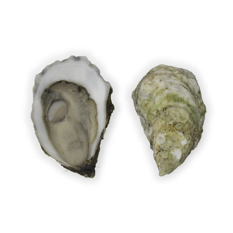Ichabod Flat Oysters - 50 Count Box