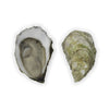 Ichabod Flat Oysters - 50 Count Box