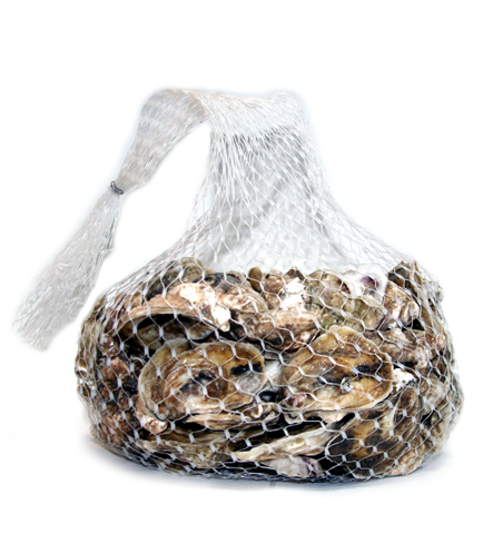 100-Count Bag - Northern Cross Oysters