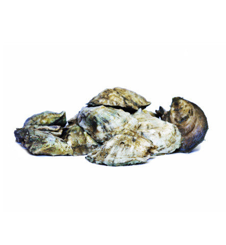 100-Count Bag - Island Creek Oysters