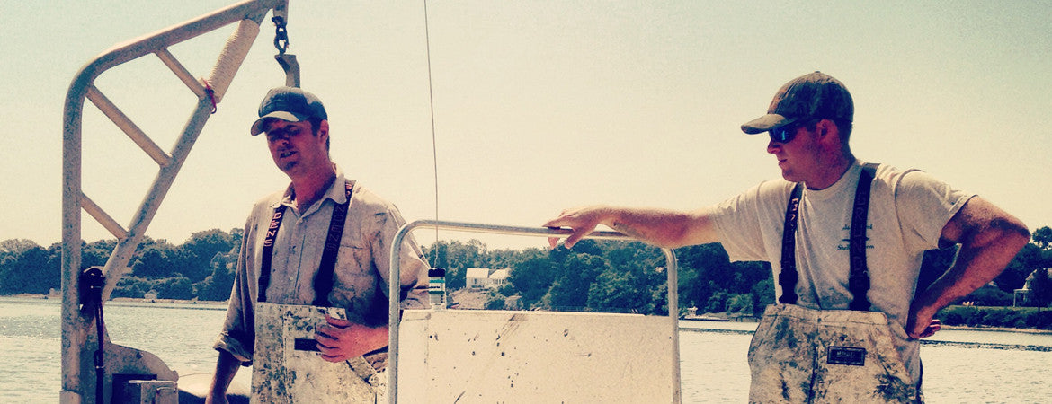 Read our blog and learn more about the farm!